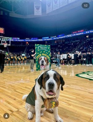 Image post by @BetMGM on Twitter