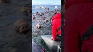 Video post by @accuweather on YouTube