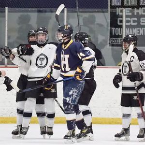 Image post by @somerszoo on Instagram