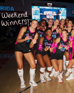 Image post by @fauvolleyball on Instagram