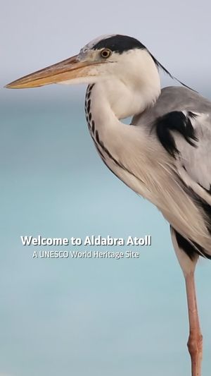 Video post by @sealegacy on Instagram