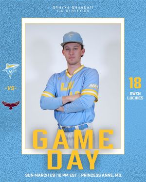 Image post by @liubaseball on Instagram