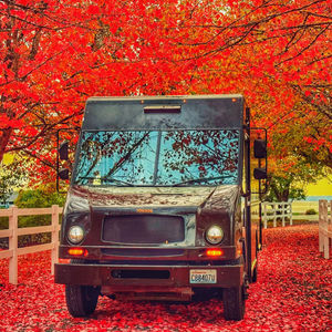 Image post by @ups on Instagram