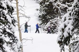 Image post by @pcski on Instagram