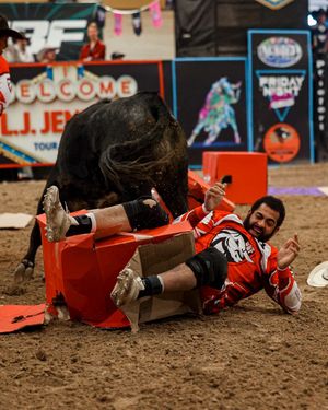 Image post by @ultimatebullfighters on Instagram