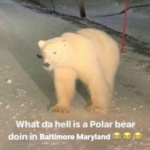 Image post by @Orioles on Twitter