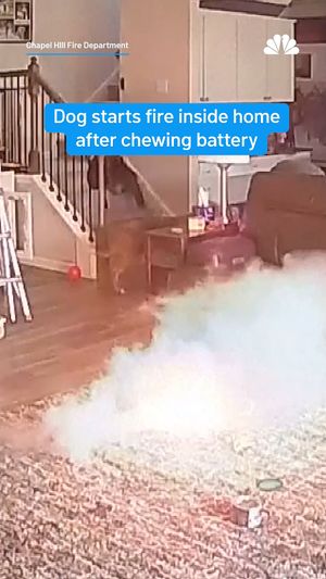 Video post by @nbcnewyork on Instagram