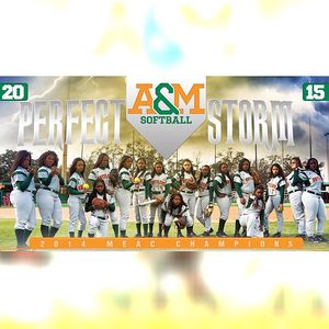 Image post by @famuathletics on Instagram