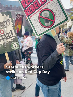Video post by @usatoday on TikTok