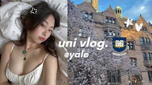 Video post by @mildredsauce on YouTube