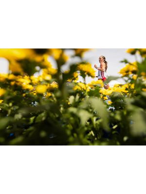 Image post by @macjohnsonmedia on Instagram