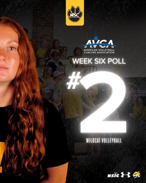 Text post by @WSCWildcatVB on Twitter/X