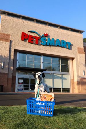 Video post by @petsmart on TikTok