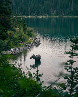 Image post by @jbyrne_photography on Instagram