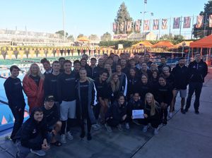 Image post by @uopswimanddive on Instagram