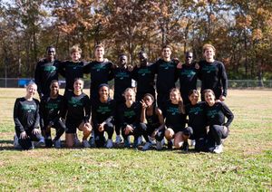 Image post by @GreenWaveXCTF on Twitter