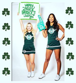 Image post by @csucheerleading on Instagram