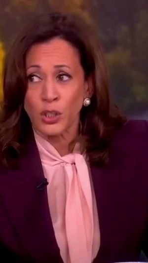 Video post by @talkingredandblue on TikTok