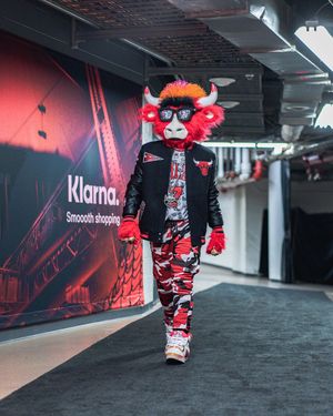 Image post by @bennythebull on Instagram