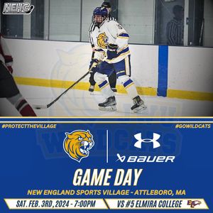 Image post by @jwumenshockey on Instagram