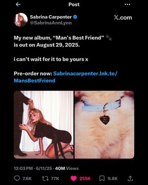 Image post by @slaybrinacarpenterr on Instagram