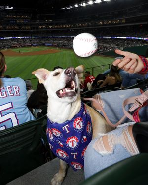 Image post by @rangers on Instagram