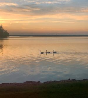 Image post by @fernresort on Facebook