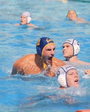 Image post by @calmwaterpolo on Instagram