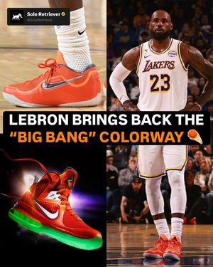 Image post by @soleretriever on Instagram