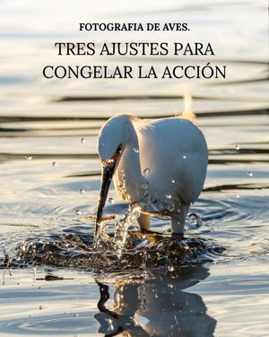 Image post by @fauna.patagonia on Instagram