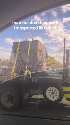 Video post by @luissantanaphoto on TikTok