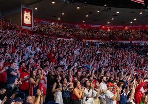 Image post by @zonazooofficial on Instagram