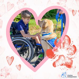 Image post by @canineorg on Instagram