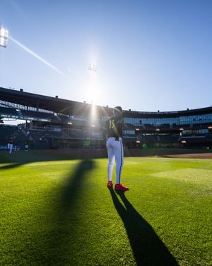 Image post by @saltlakebees on Instagram