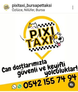 Image post by @ilknurazizoglu_astrology on Instagram