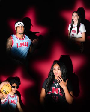 Image post by @lmulions on Instagram