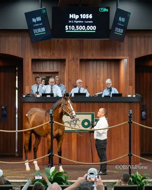 Image post by @thoroughbred_daily_news on Instagram