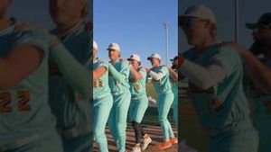Video post by @loco.beach.coconuts on YouTube