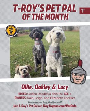 Image post by @troypetpals on Instagram