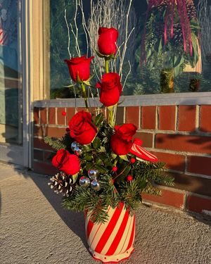 Image post by @lilys_capecod on Instagram