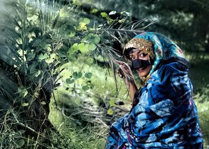 Image post by @abbasalkhamis on Instagram