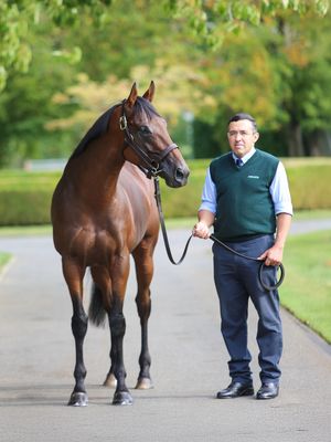 Image post by @juddmonte on Instagram