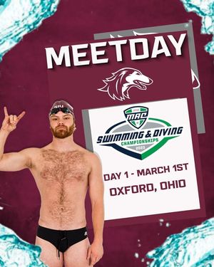 Image post by @SIUSwimDive on Facebook