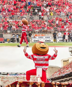 Image post by @thebrutusbuckeye on Instagram