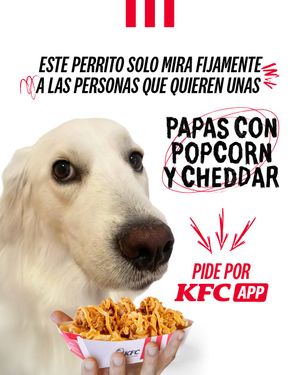 Image post by @kfcecuador on Instagram