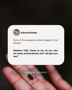 Image post by @awanitavalley on Instagram