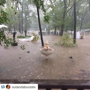 Image post by @statesman on Instagram