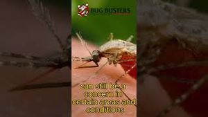 Video post by @bugbustersusa on YouTube