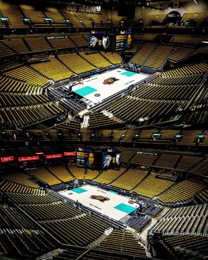 Image post by @memgrizz on Instagram