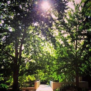 Image post by @kansasstateuniversity on Instagram